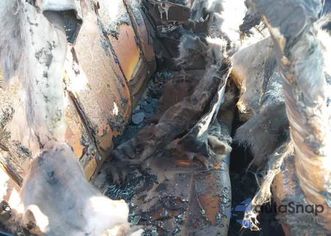 2019 Hyundai Accent Limited из США, поврежденный, VIN 3KPC34A34KE051290